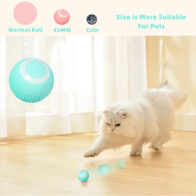 Smart Cat Ball